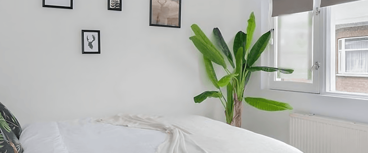 Kamer huren in Den Haag