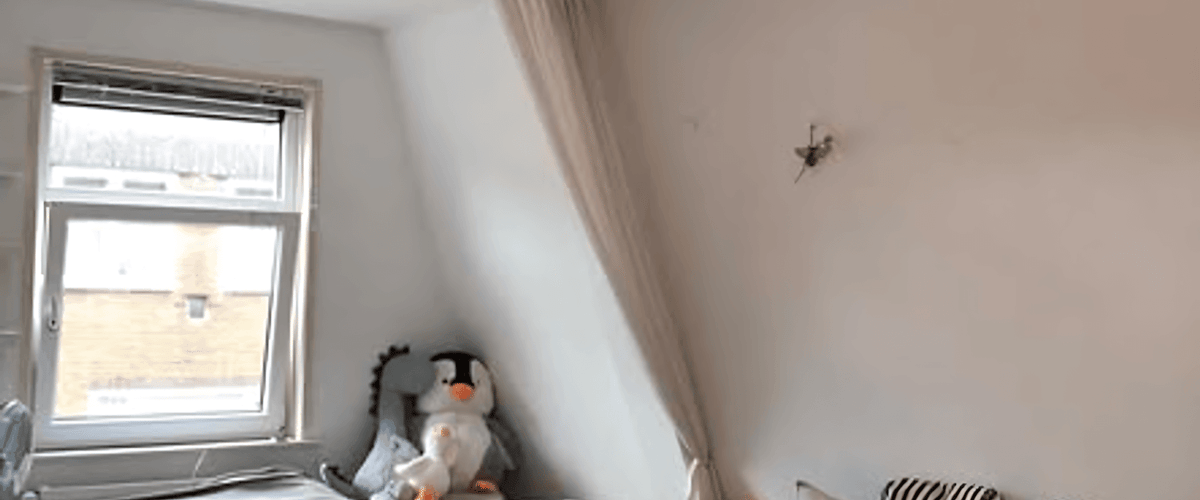 Kamer huren in Groningen