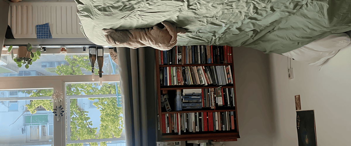 Kamer huren in Den Haag