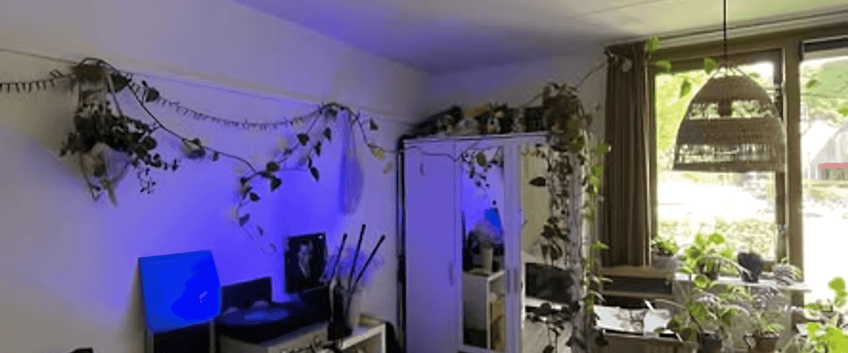 Kamer huren in Nijmegen