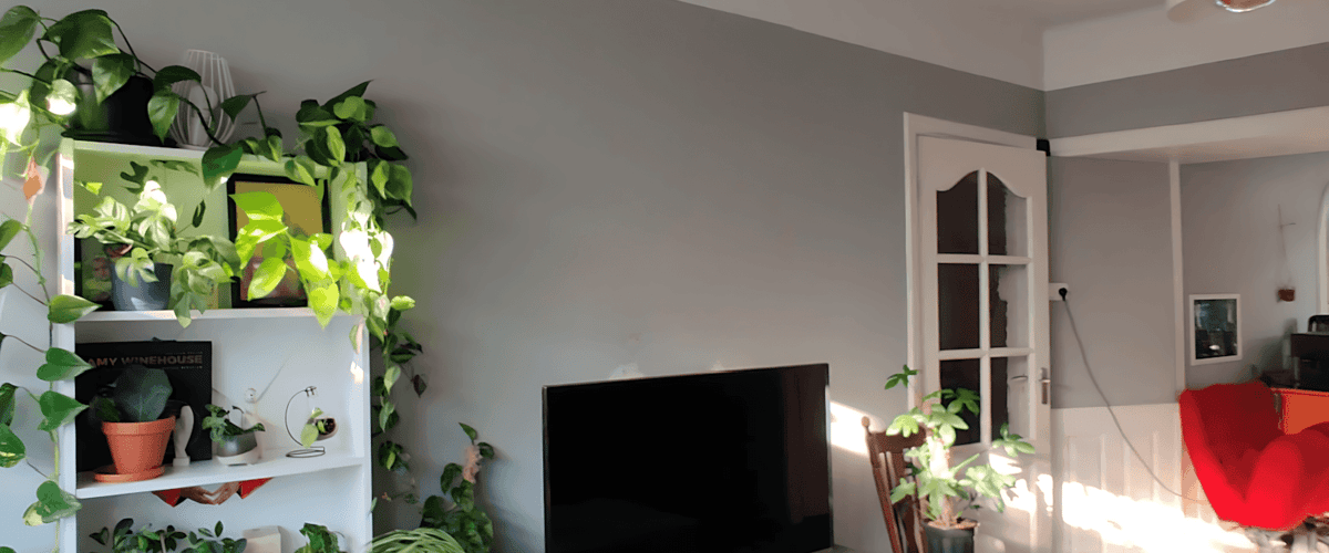 Kamer huren in Den Haag
