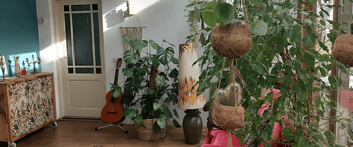Kamer huren in Tolbert