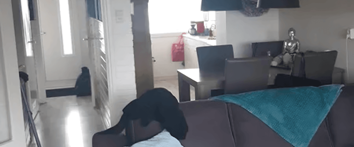 Appartement huren in Ijmuiden