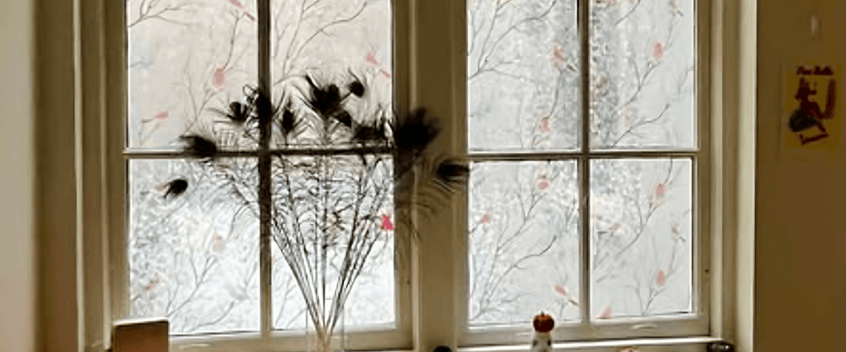 Studio huren in Amsterdam