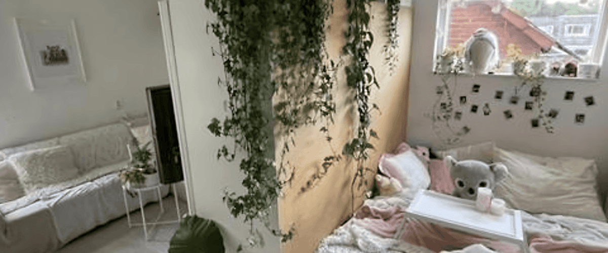 Kamer huren in Alkmaar