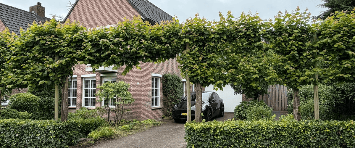 Huis huren in Nuenen