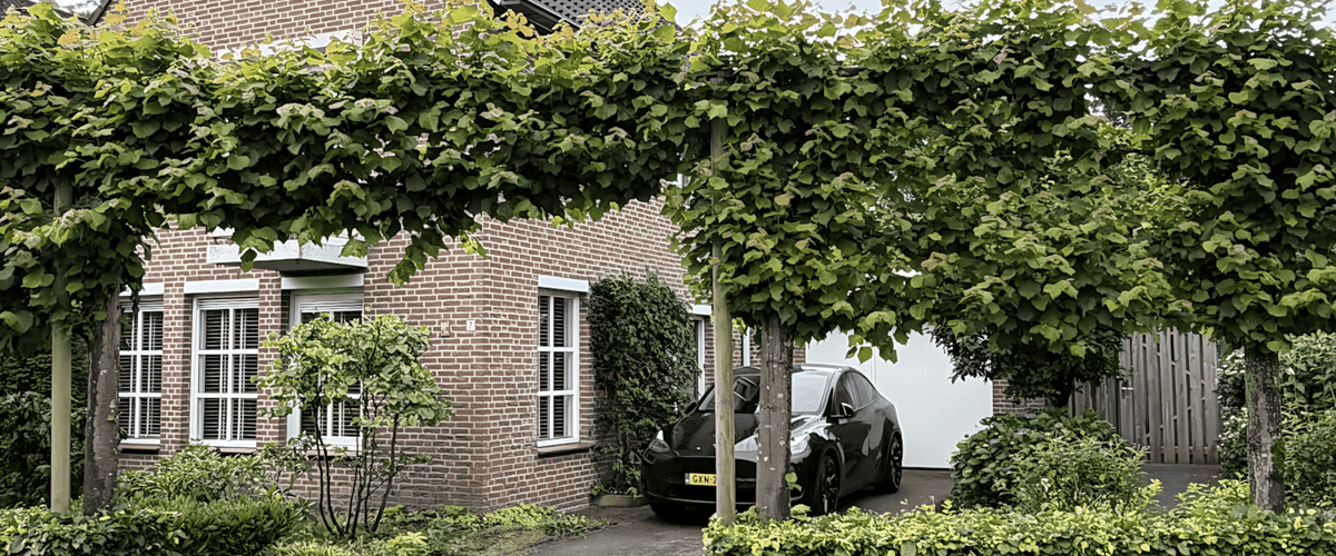 Huis huren in Nuenen