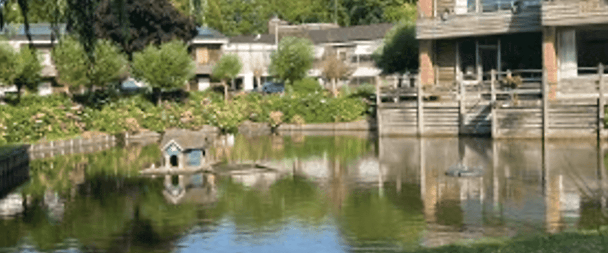 Appartement huren in Loenen Aan De Vecht