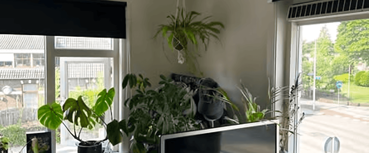 Kamer huren in Nijmegen