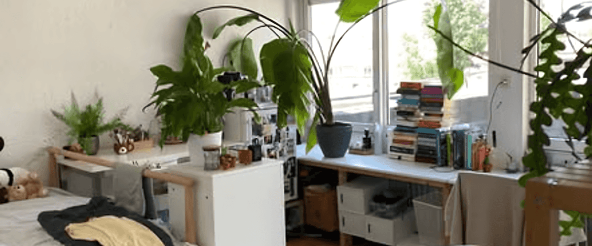 Kamer huren in Tilburg