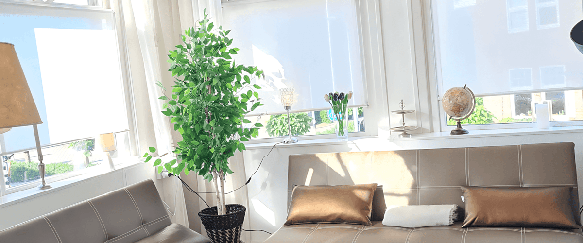 Appartement huren in Tilburg