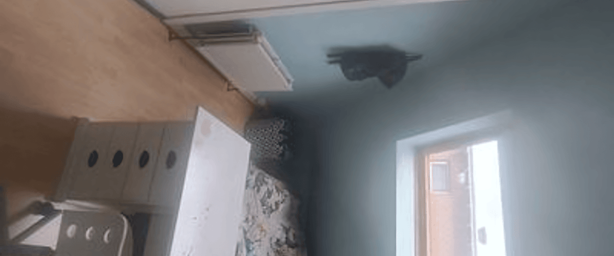 Kamer huren in Den Haag