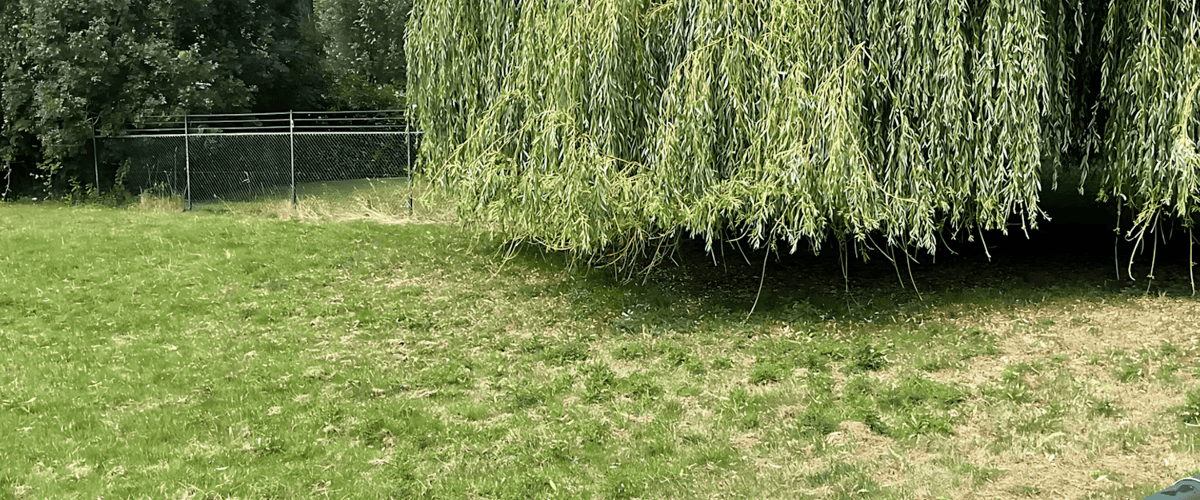 Kantoor huren in Vleuten