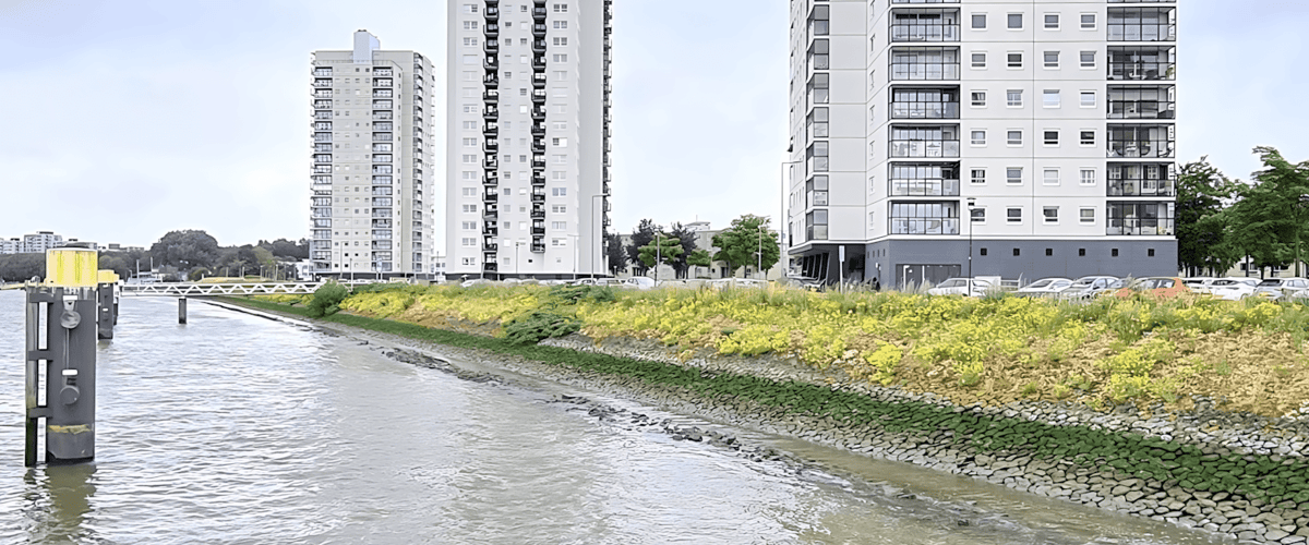 Appartement huren in Rotterdam