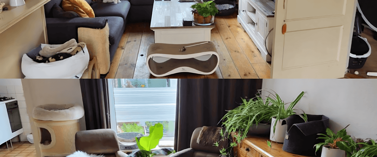 Kamer huren in Tilburg