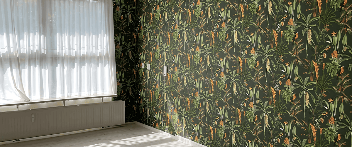Appartement huren in Assen