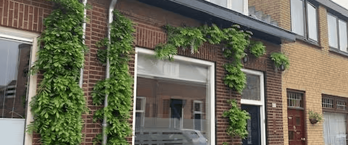 Huis huren in Breda