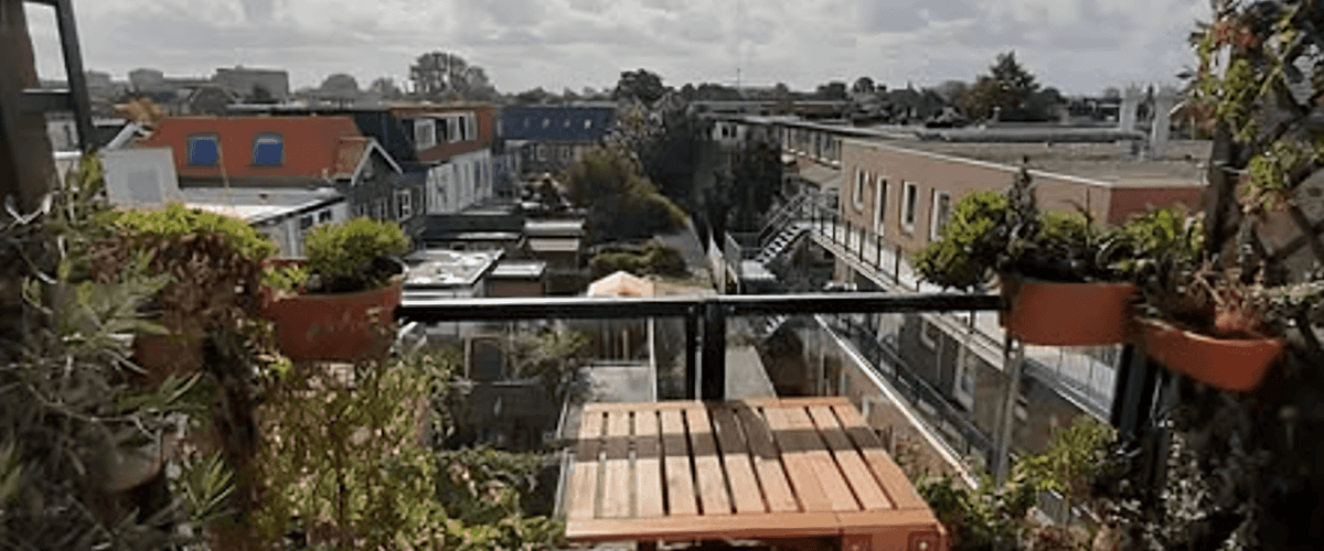 Appartement huren in Haarlem