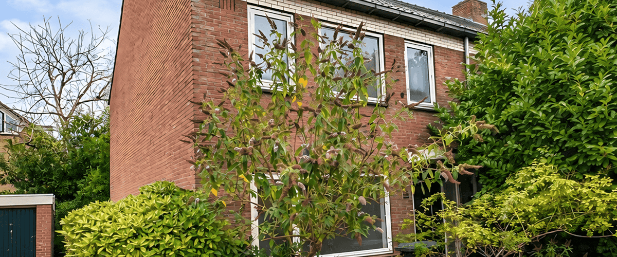 Huis huren in Bussum