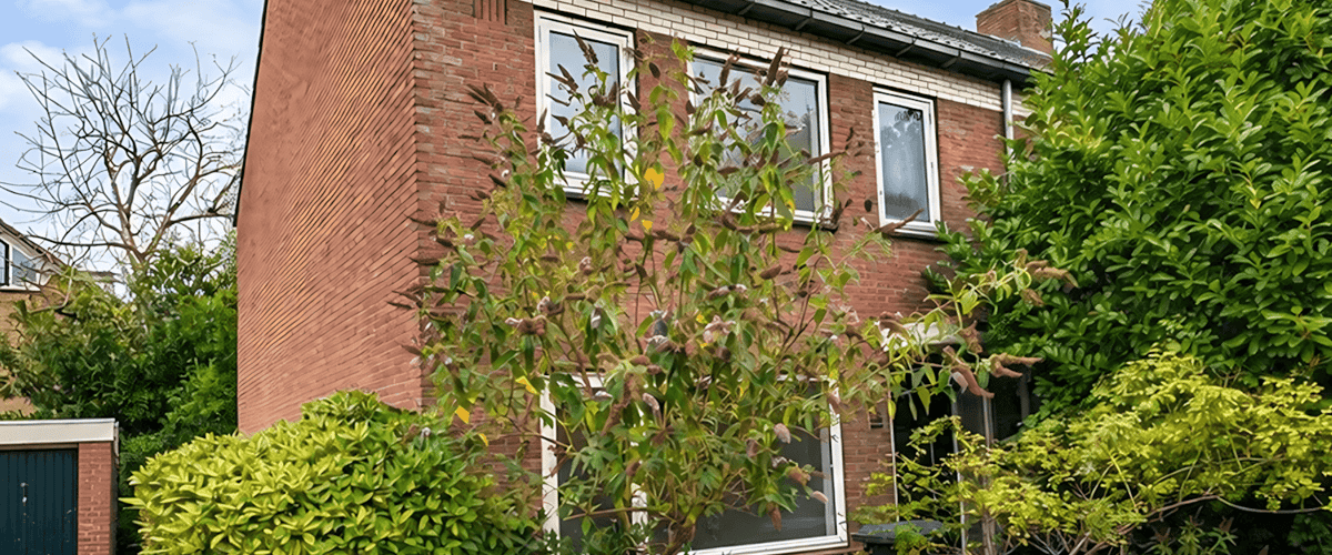 Kamer huren in Bussum
