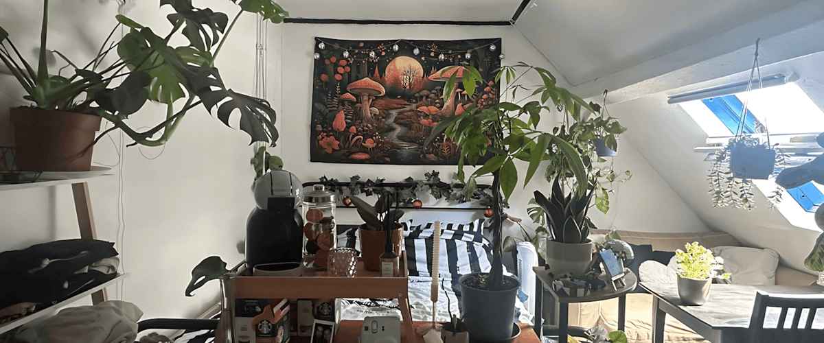 Kamer huren in Geldrop