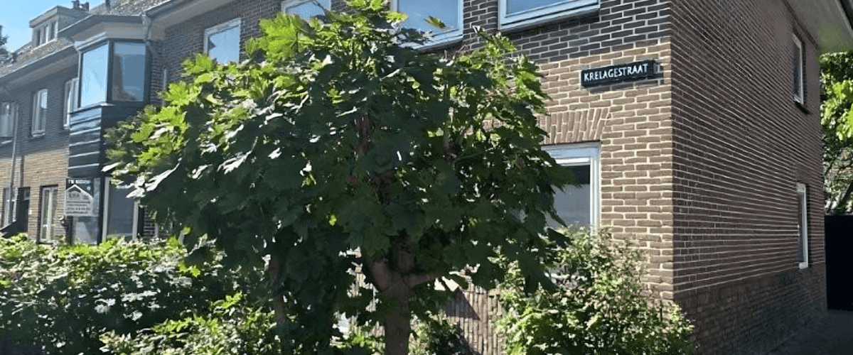 Appartement huren in Alkmaar