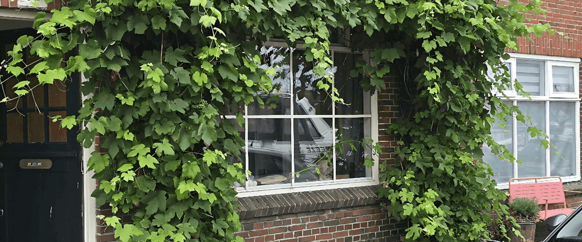 Kamer huren in Leiden