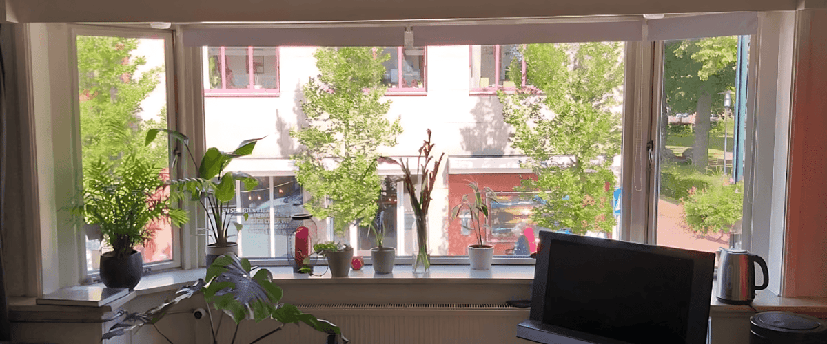 Kamer huren in Haren