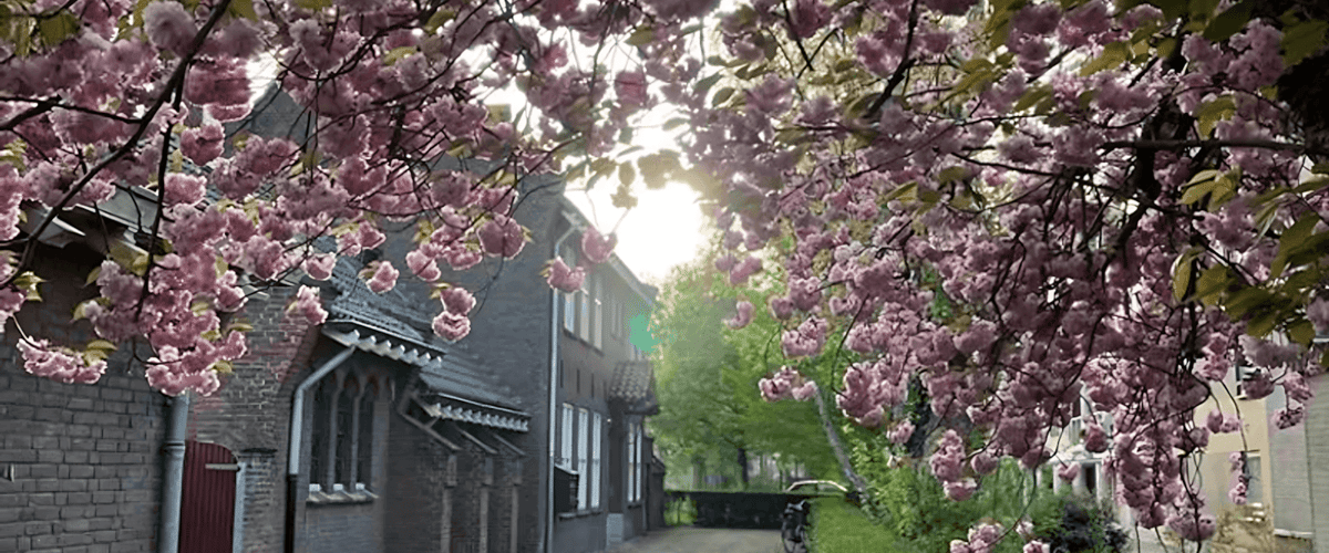 Appartement huren in Breda