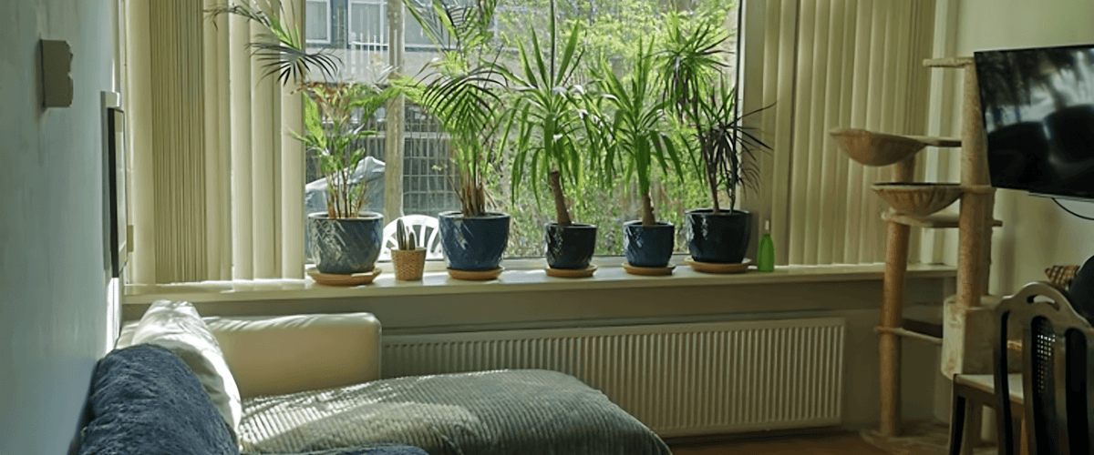 Kamer huren in Rotterdam