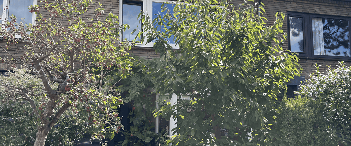 Huis huren in Haarlem