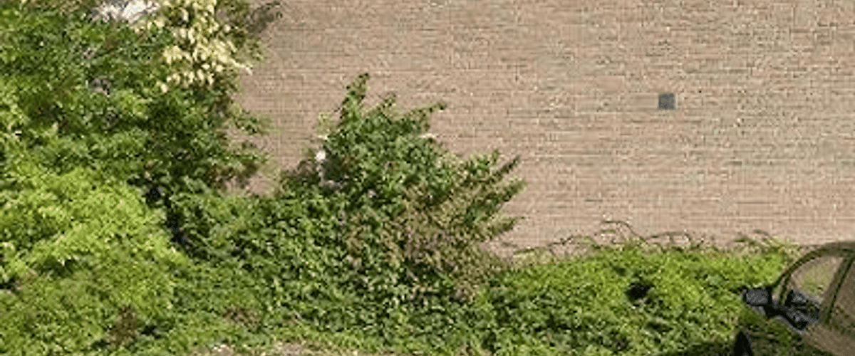 Huis huren in Voorhout
