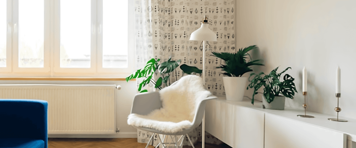 Huis huren in Rotterdam