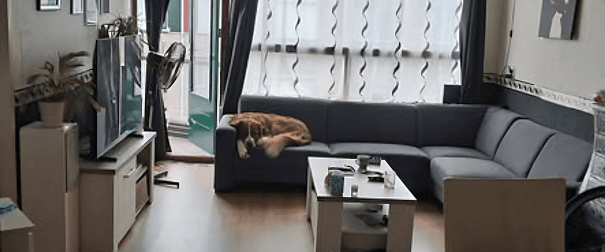 Appartement huren in Hoorn