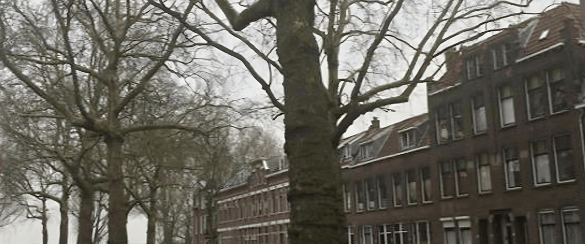 Kamer huren in Rotterdam