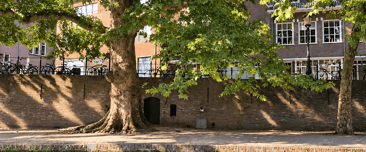 Studio huren in Utrecht