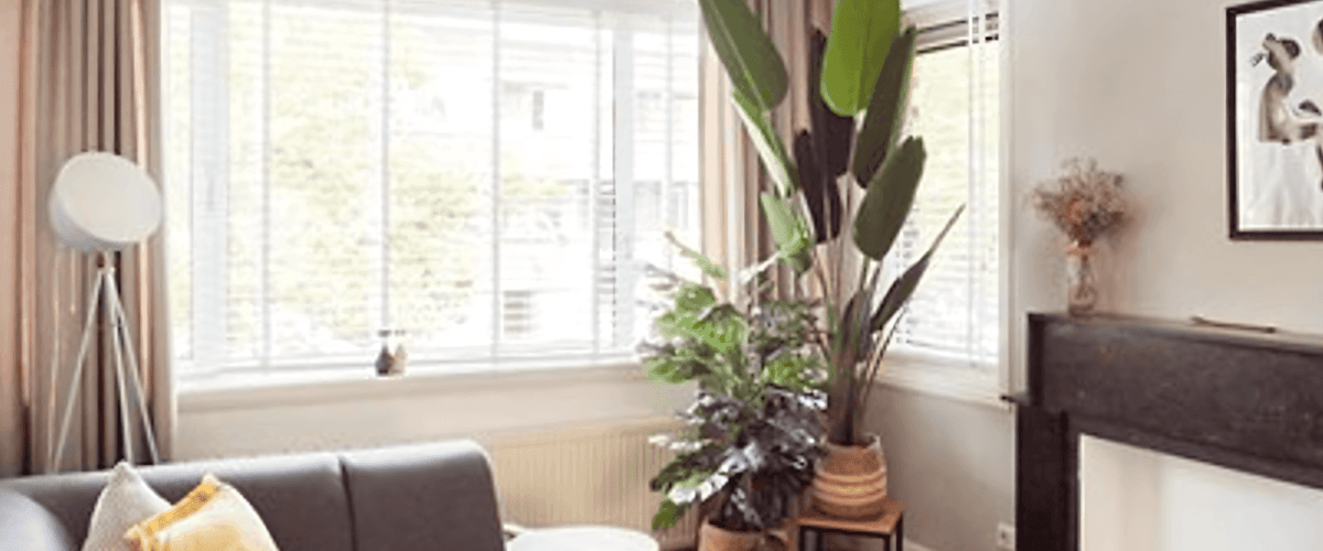 Appartement huren in Den Haag