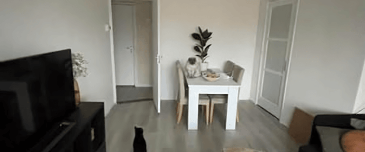 Huis huren in Den Haag