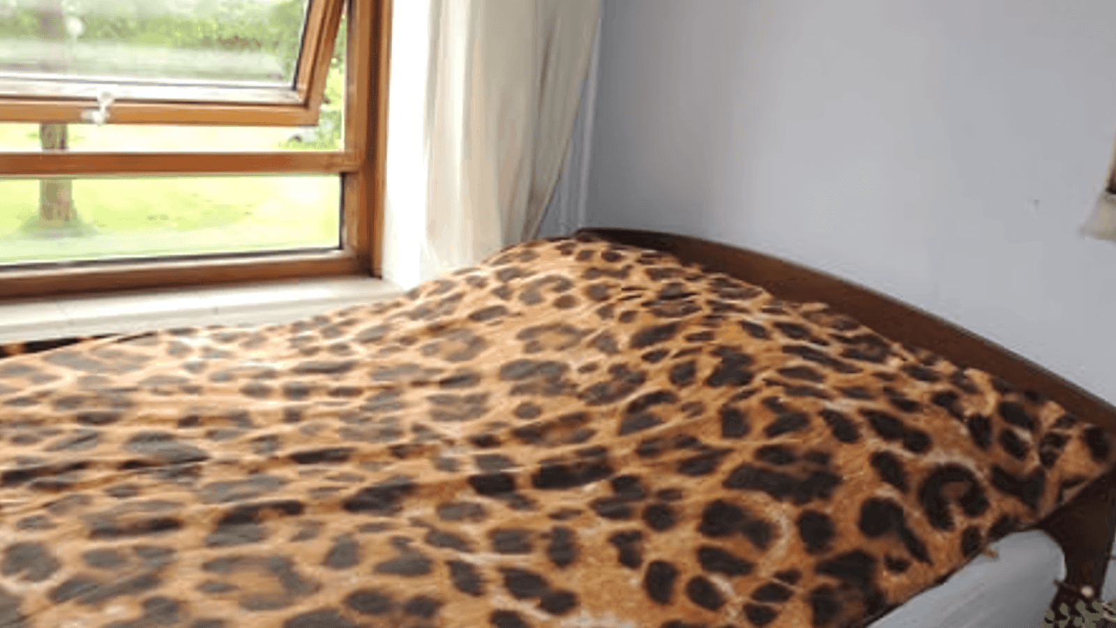 Kamer in Oegstgeest