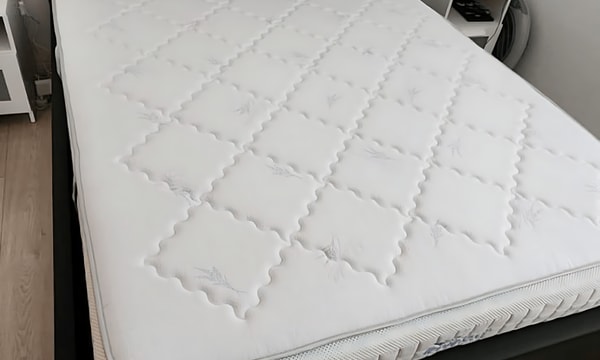 Kamer | 12m² | Mangostraat | €780,-