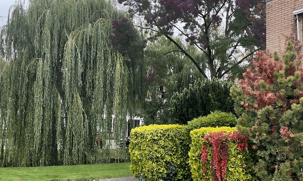 Kamer | 12m² | €300,-