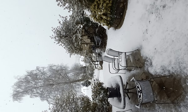 Kamer | 15m² | Kadijkselaan | €620,-