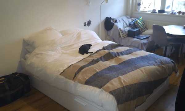 Kamer | 20m² | Wilhelminaweg | €675,-