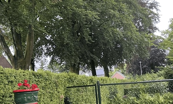 Kamer | 12m² | Julianastraat | €400,-