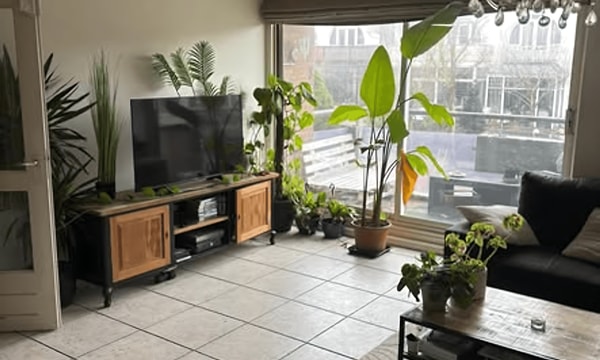 Kamer | 13m² | €703,-