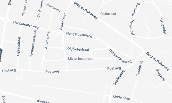 Kamer | Olijfwilgstraat | €495,-