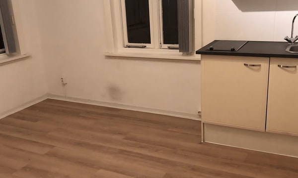 Kamer | 20m² | Eerste Oude Heselaan | €930,-