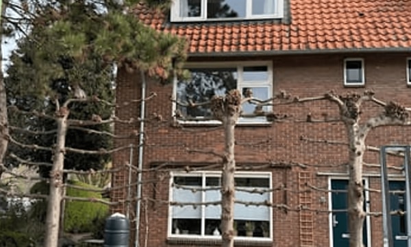 Appartement | 74m² | Laan van Henegouwen | €1650,-