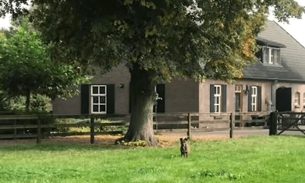 Kamer | m² | €700,-