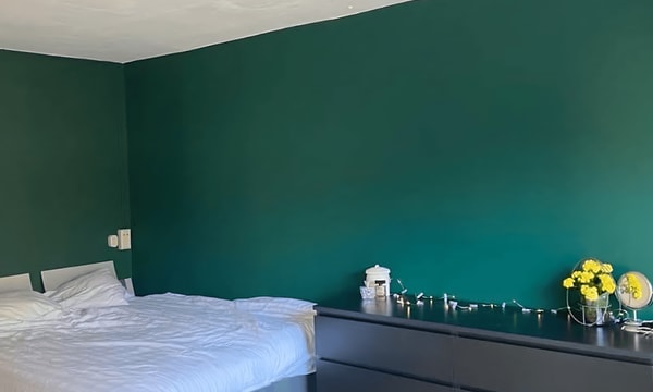 Kamer | 19m² | Potgieterlaan | €475,-